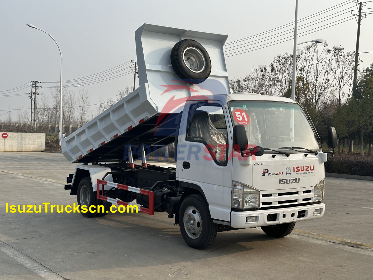 Japon ISUZU 100P/ELF Mini véhicule de benne basculante de camion de cargaison à vendre