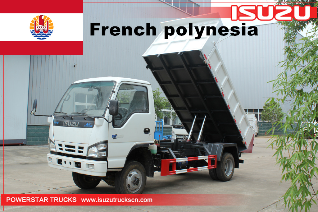Polynésie française ISUZU NKR 600P 4x2 4x4 route complète MINI camion benne 3 tonnes à 4 tonnes 5 tonnes