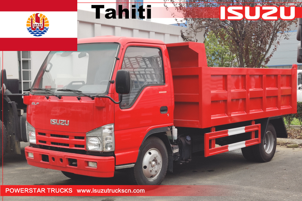Tout nouveau camion benne Tahiti ISUZU MINI Cargo Mini Dump Dumper