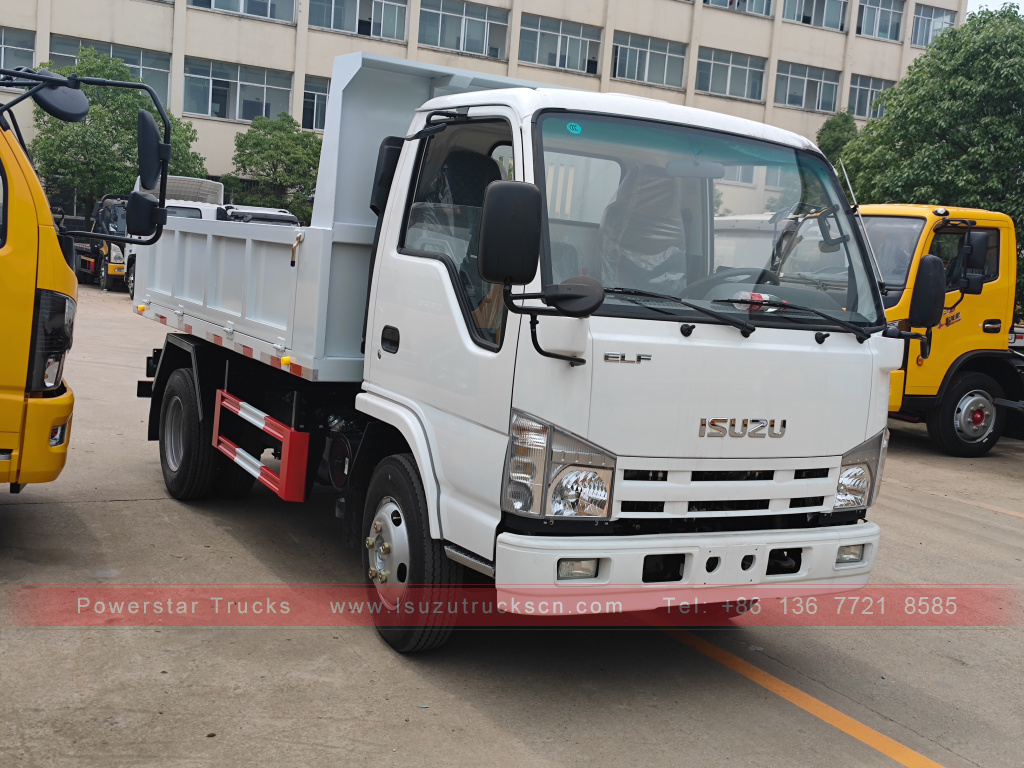 Philippines ISUZU 4X2 6 roues camion à benne basculante 2T 3T 5T ​​Tipper Mini Cargo Truck à vendre