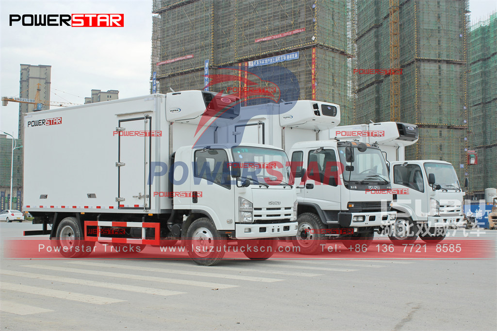 Exportation manuelle de l'unité CARRIER montée sur camion congélateur ISUZU ELF vers les Philippines