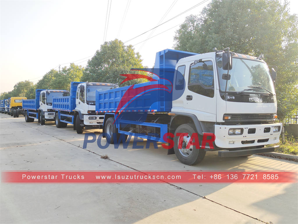 Magasin d'usine ISUZU FVR 240HP 10 tonnes camions à benne basculante
