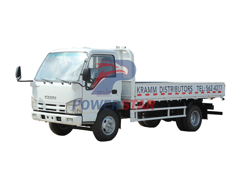 Camion cargo léger Isuzu