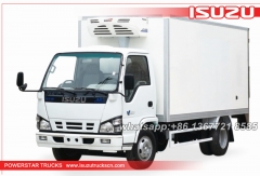 fourgon camion ISUZU mini congélateur boîte camion réfrigérateur voiture

