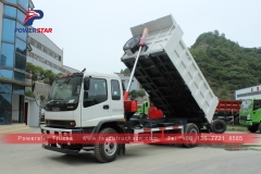 Fabricant 10ton féline ISUZU Heavy Duty Dumper camion benne